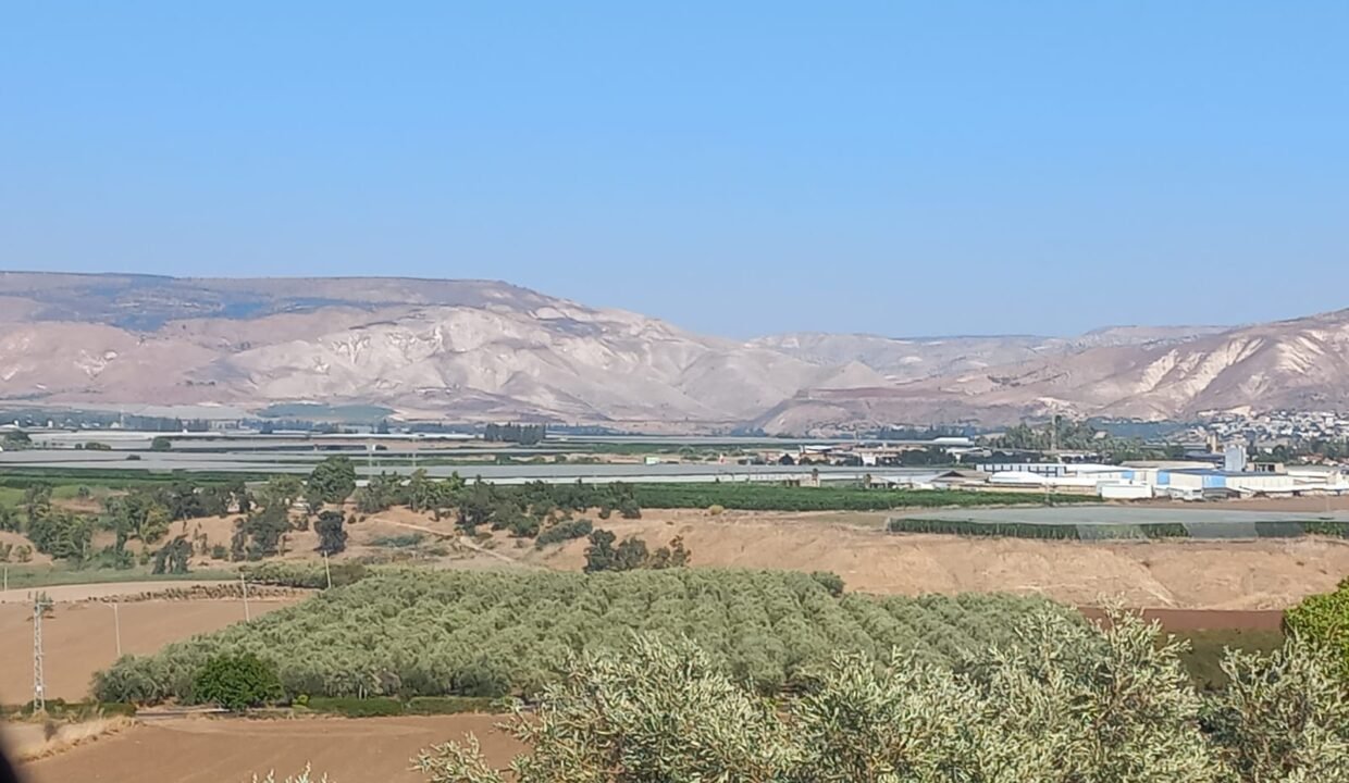 תמונה של WhatsApp‏ 2025-05-23 בשעה 09.26.42_741b24aa